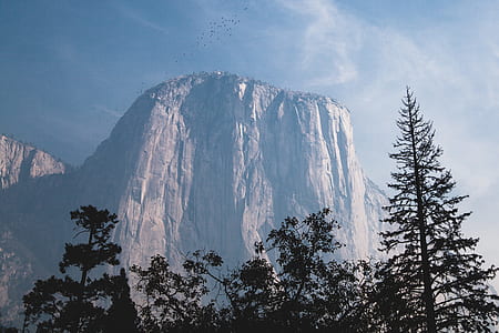 mountain near forest thumbnail