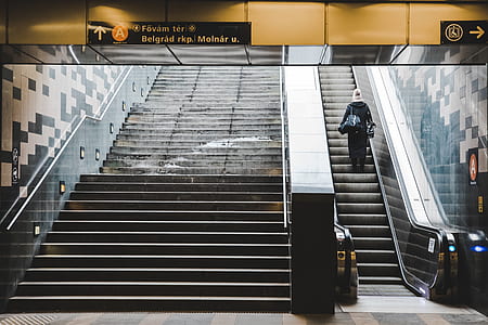 photography of person stands on escalator thumbnail