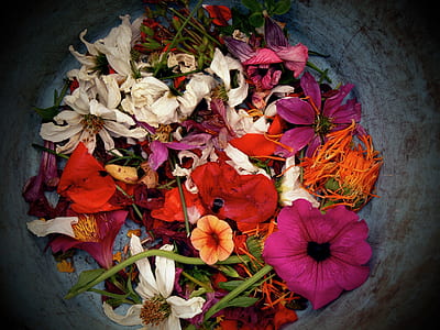 bouquet of flowers thumbnail