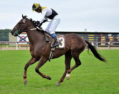 man on number 13 horse at the open arena thumbnail