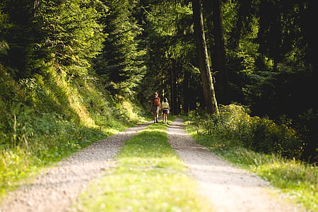 two standing people surrounded by trees during daytime thumbnail