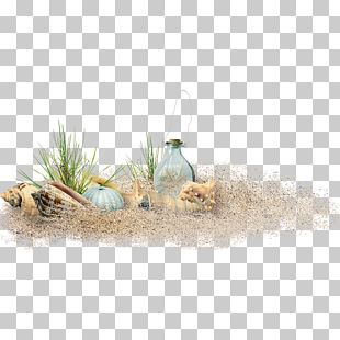Sand Beach Computer file, Beach elements,Beach material, glass bottle on sand with shells and grass PNG clipart
