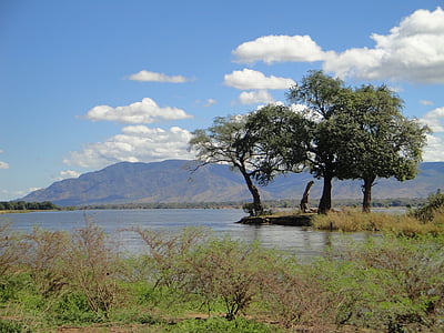 three green leafed trees near body of water during faytime thumbnail
