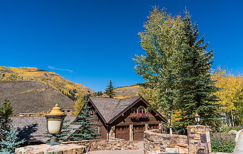 house beside green leafed tree under blue sky thumbnail