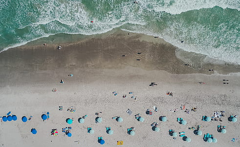 topview of people beneath on ocean thumbnail