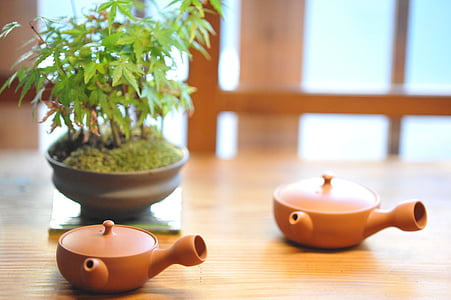 two brown pots near green leafed plant thumbnail