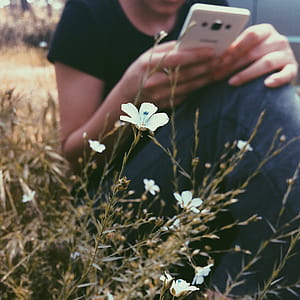 Selective Focus Photography of White Petaled Flowers Near Woman Holding Smartphone thumbnail