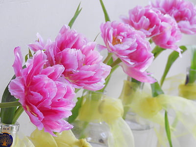 pink petaled flower thumbnail