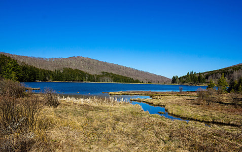 Landscapes of Spruce Knob Lake and Mountains thumbnail