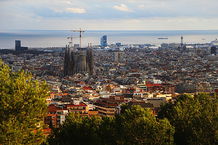 area view of city at daytime thumbnail