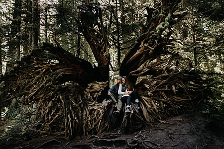 man and woman sitting on tree root thumbnail