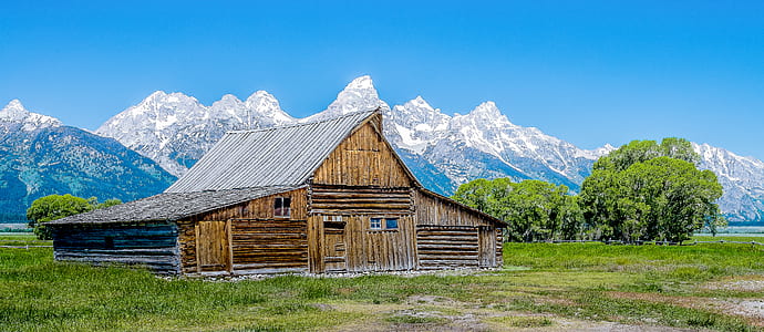 brown wooden house near trees thumbnail