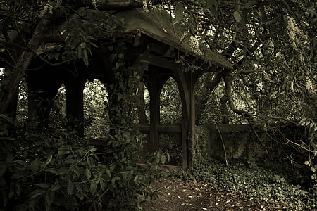 photo of brown gazebo surrounded by vines and plants thumbnail