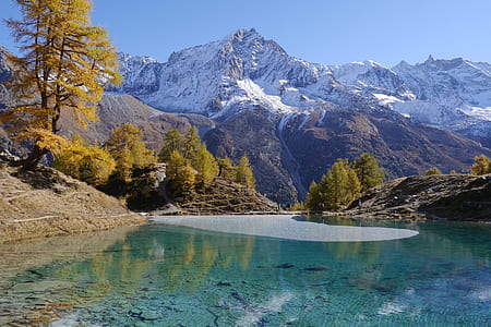 body of water surrounded by trees during daytime thumbnail