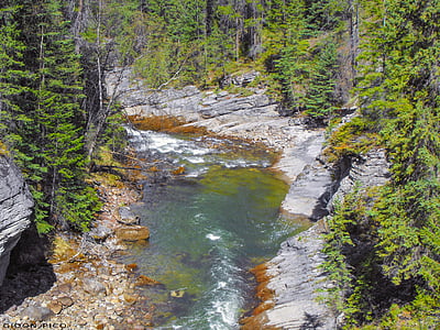 body of water in between plants thumbnail