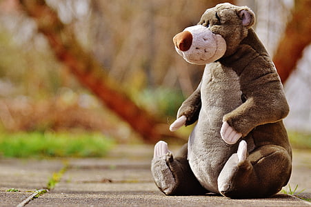 grey bear plush toy on concrete floor thumbnail