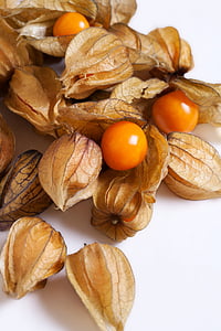 orange persimmons on white surface thumbnail