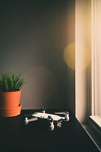 white and black drone beside green leafed plant thumbnail