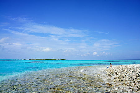 blue ocean thumbnail