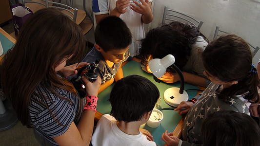 group of children looking at the table thumbnail