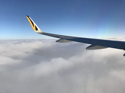 white airplane wing thumbnail
