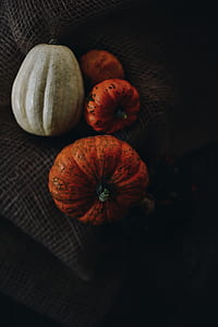 three red and one white squash thumbnail