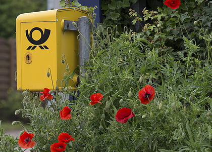 yellow mailbox beside flowers thumbnail