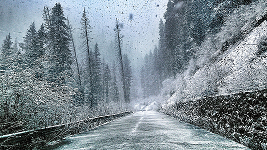 snowy trail wallpaper thumbnail