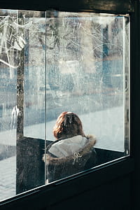 woman sitting near glass window thumbnail