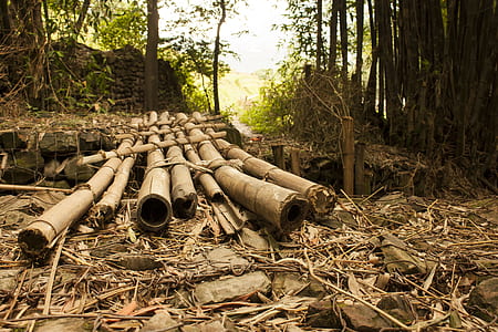 bamboo bridge during daytime thumbnail