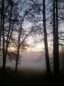 silhouette photo of trees during sunrise thumbnail