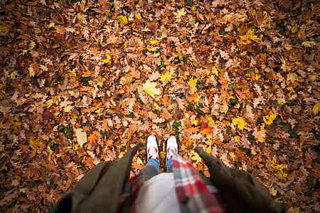 Person Standing on a Ground With Dry Leaves thumbnail