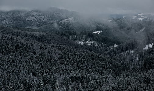 green tree and mountain during daytime thumbnail