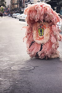 street, pink, costume, carnival thumbnail