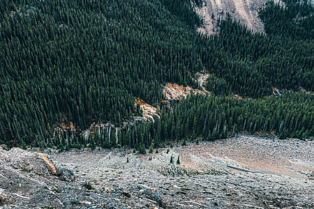 Mountainside scenery with large green pine forest in Jasper National Park, Alberta, Canada thumbnail