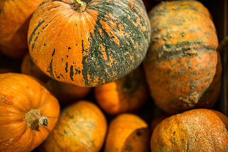 Close-ups of pumpkins in a wooden box thumbnail