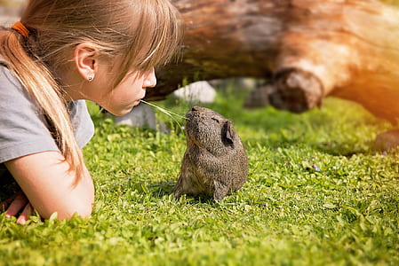 girl facing in front of rodent on grass field thumbnail