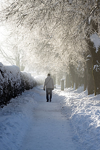 man standing between trees during daytime thumbnail
