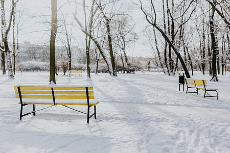Wintery Park thumbnail