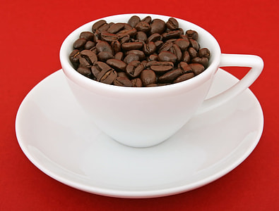 bean coffee with teacup thumbnail