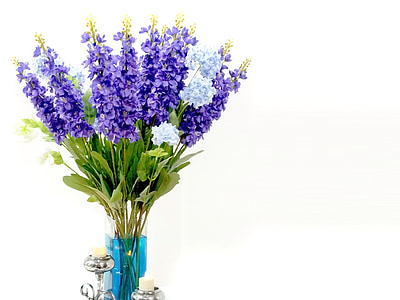 purple and green flowers thumbnail
