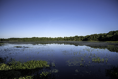 Small lake landscape in Chequamegon National Forest, Wisconsin thumbnail