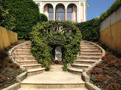 green plant beside stair case thumbnail