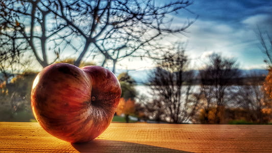 Red Apple Fruit With Bare Trees in Distance thumbnail