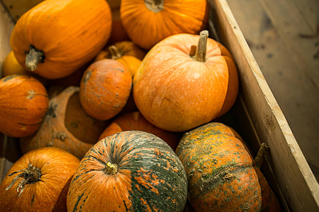 Close-ups of pumpkins in a wooden box thumbnail