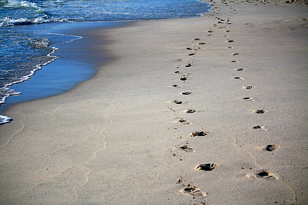 footprint on sea shore thumbnail