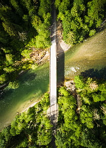 bird-eye view of bridge thumbnail