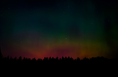 silhouette photo of trees with aurora thumbnail