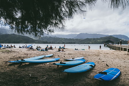 Blue Surfboards on Shore thumbnail