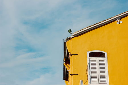 white painted building with white louvered window thumbnail